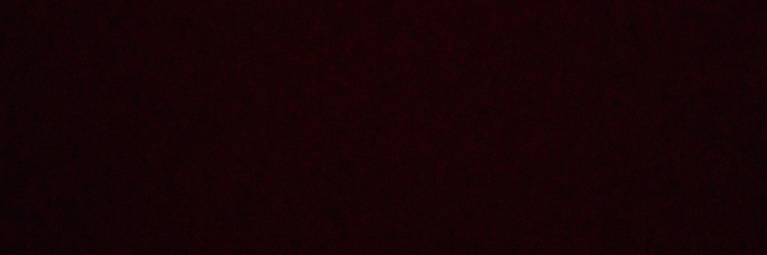serzenik's profile banner image