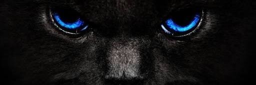 AzmiHedra's profile banner image