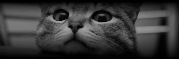 _ThisIsSparta_ Profile Banner