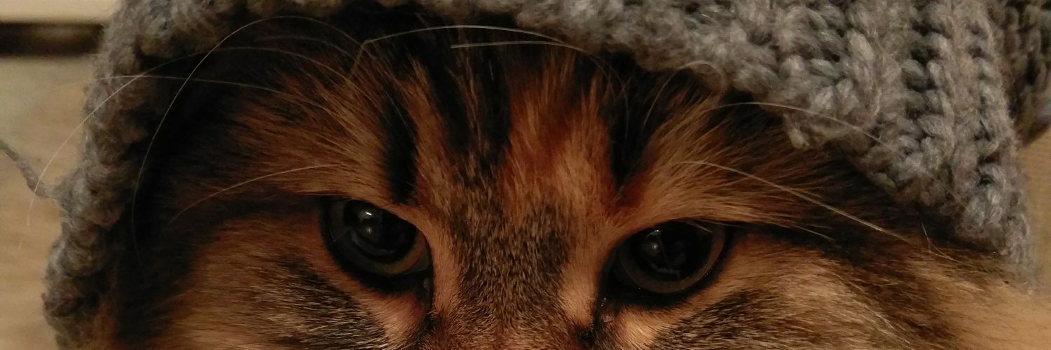 SaraPiets's profile banner image