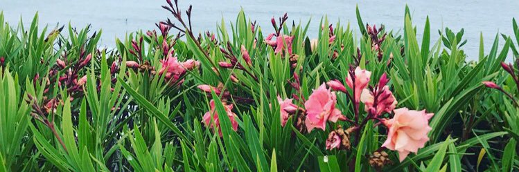 katey_smith's profile banner image