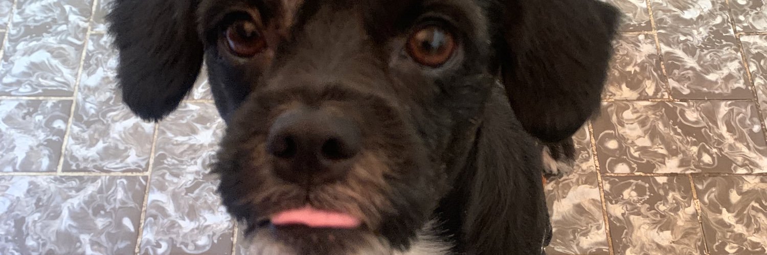 Anmodestoo's profile banner image