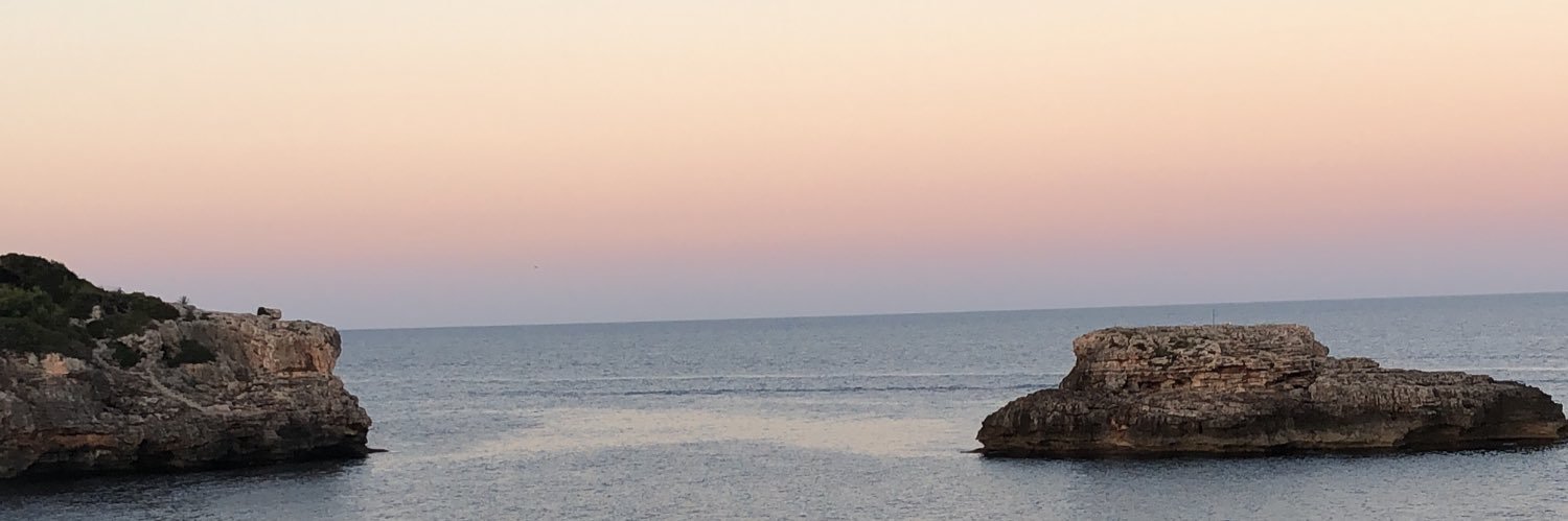 1_w93's profile banner image