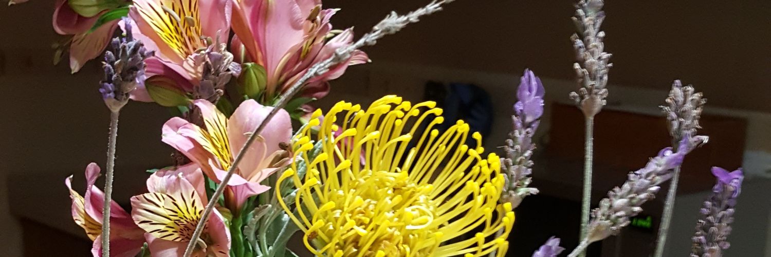 Idaira_Mb's profile banner image