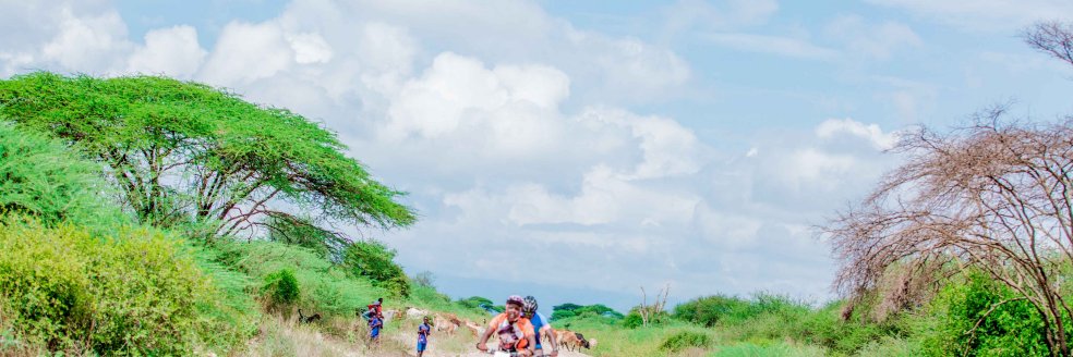 Mataralela's profile banner image