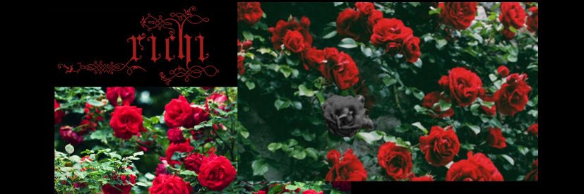 ORLCrewOff's profile banner image