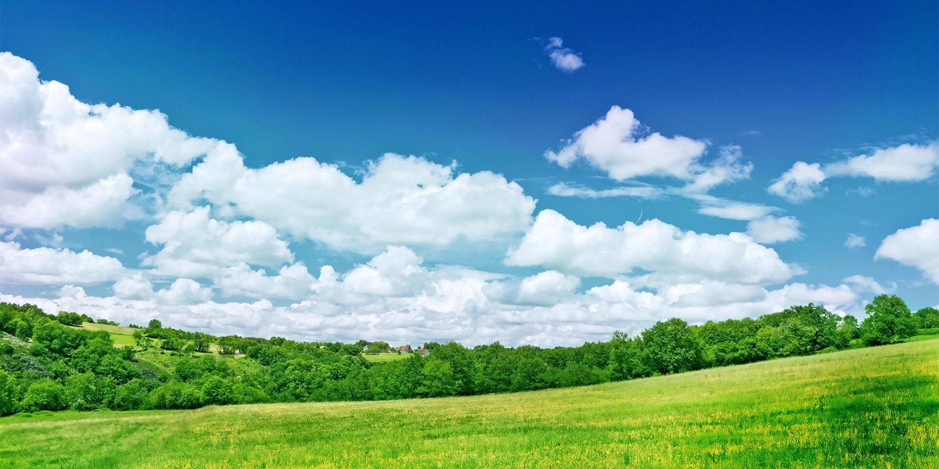GPodkolzin's profile banner image
