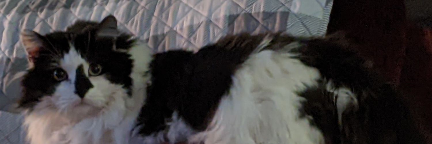 bobdole53's profile banner image