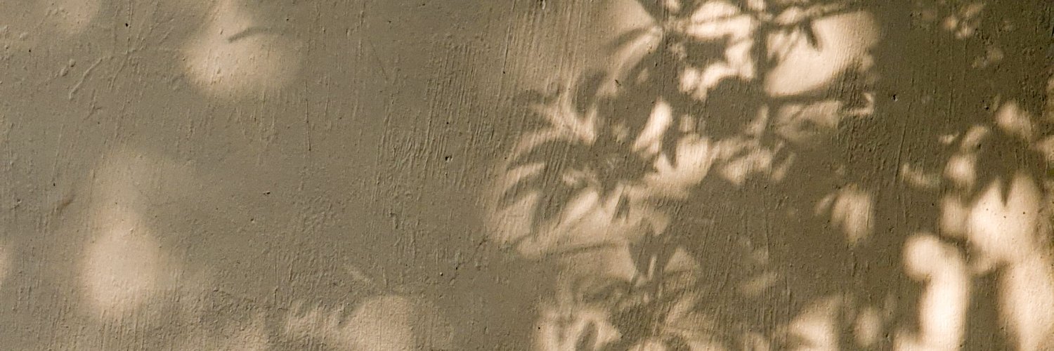randidinanta's profile banner image