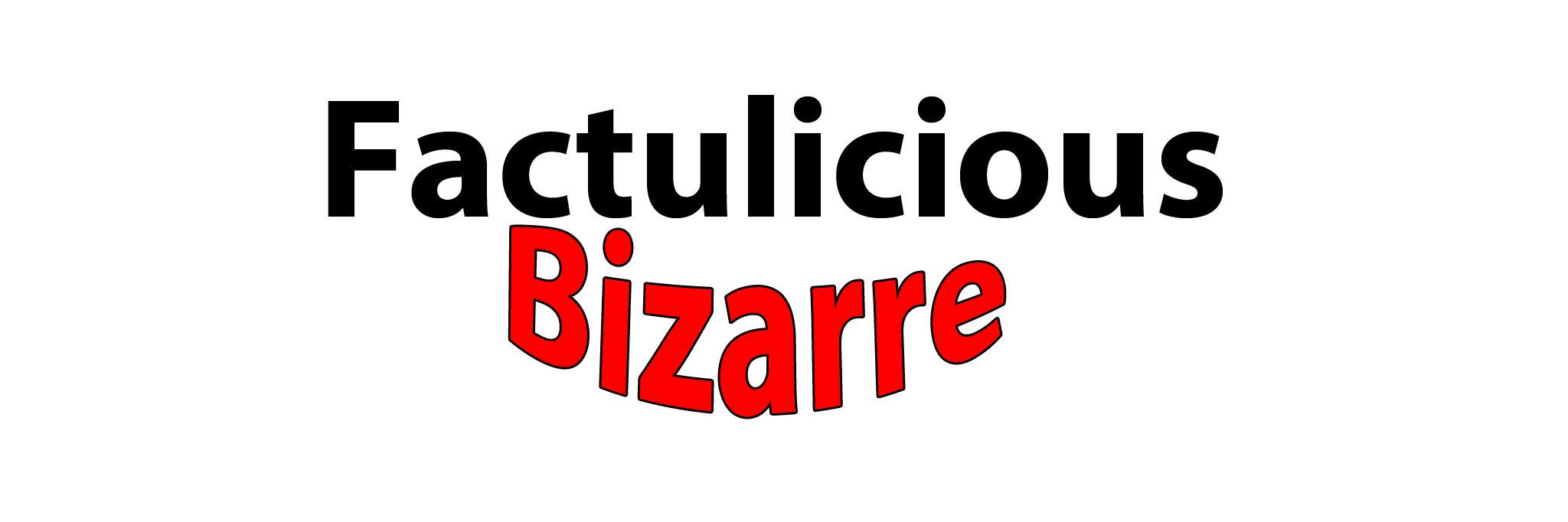 factulicious's profile banner image