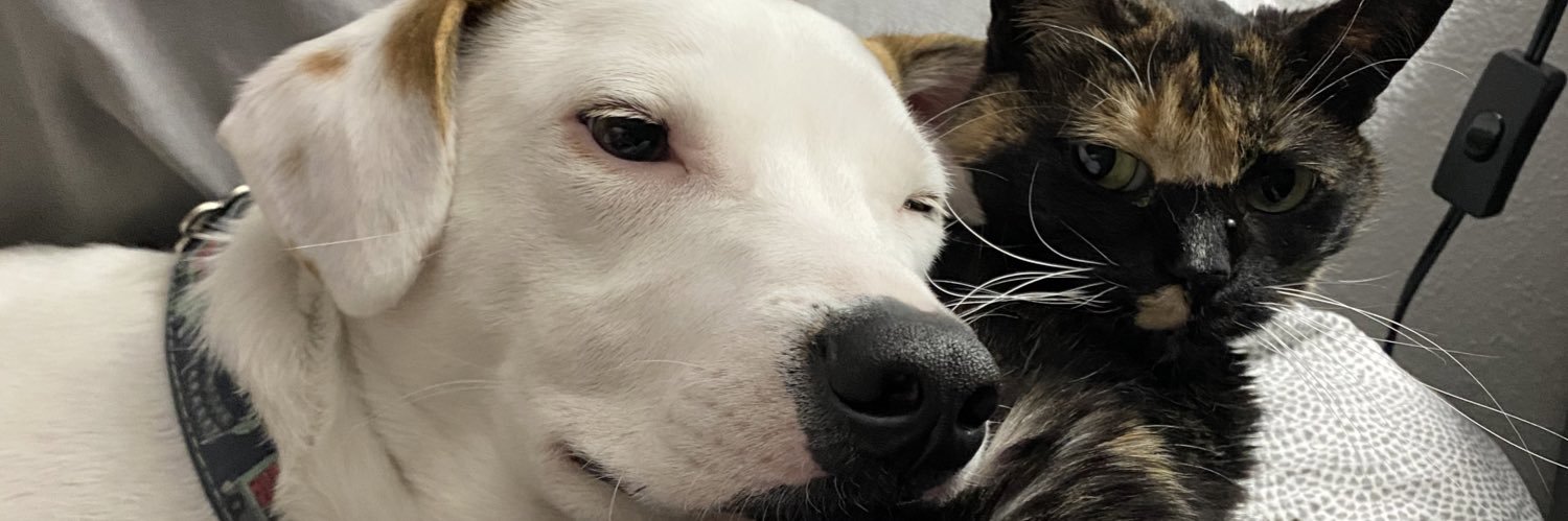 sarahncross's profile banner image