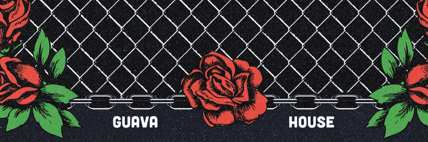 lilguava_'s profile banner image