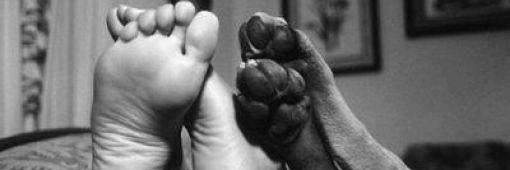 SuchitraKumar1's profile banner image