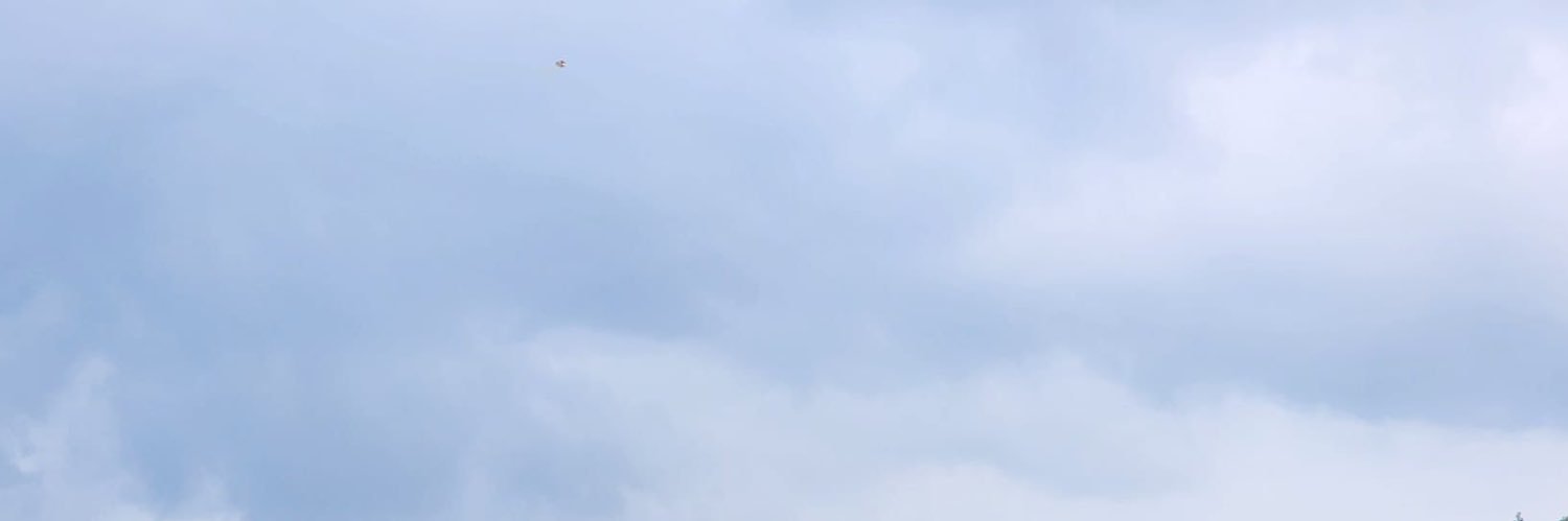 pulankra's profile banner image