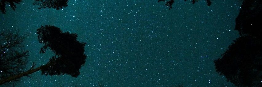 ManWithNoBeard's profile banner image