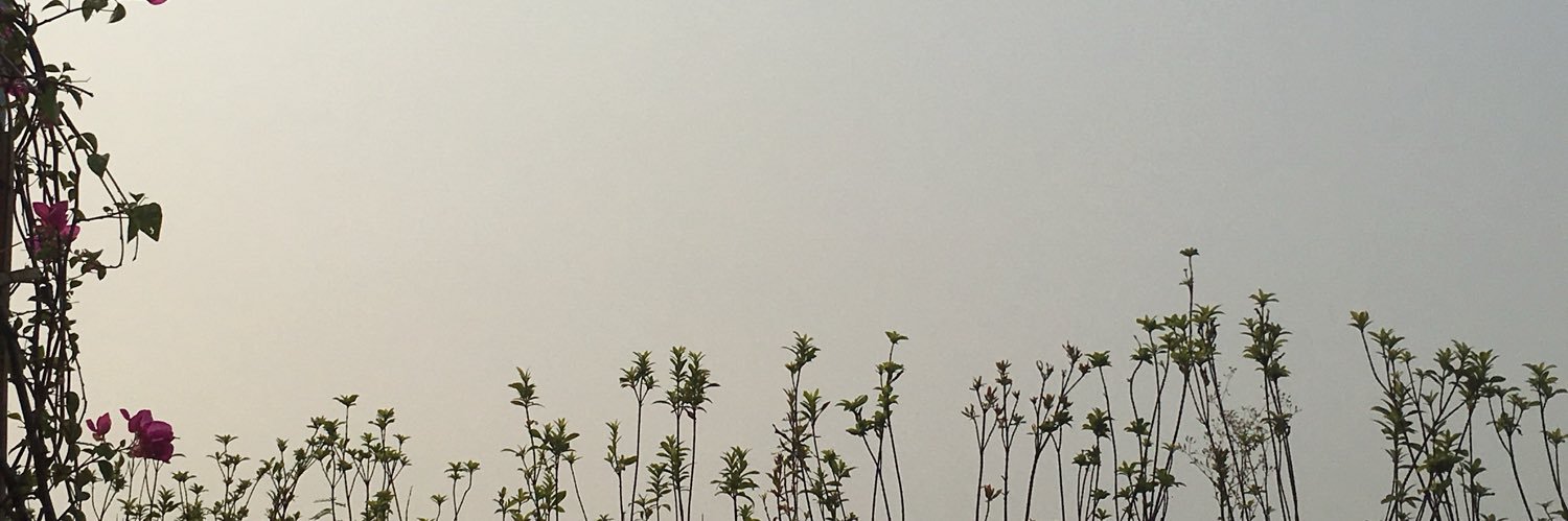 inputdd's profile banner image
