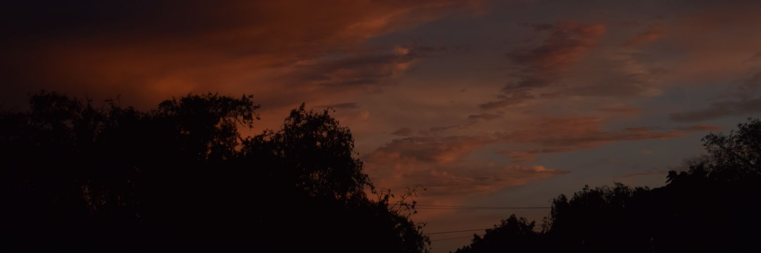 XNicolas15's profile banner image