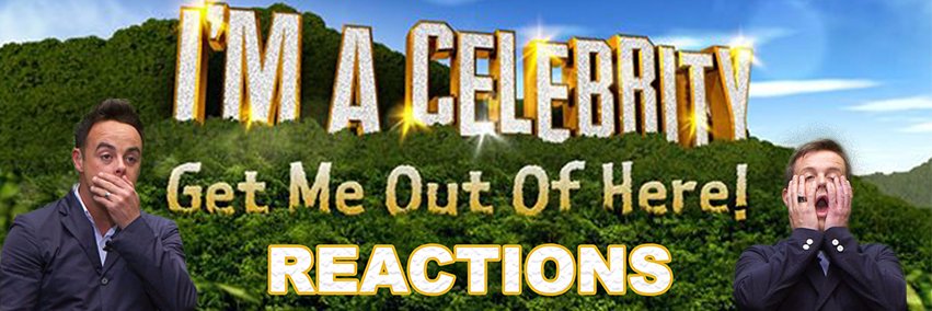 ImACeIebReactss's profile banner image