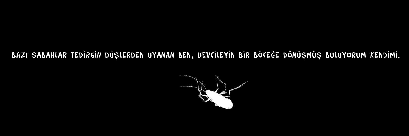 nedesem banner