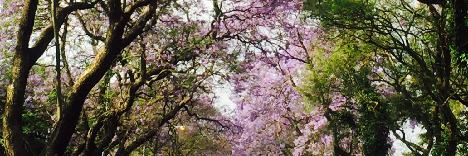 Linda_Master's profile banner image