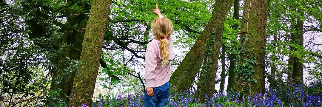 David Shackleton banner