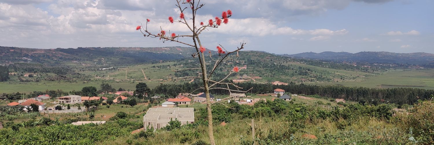 ahumuzza's profile banner image