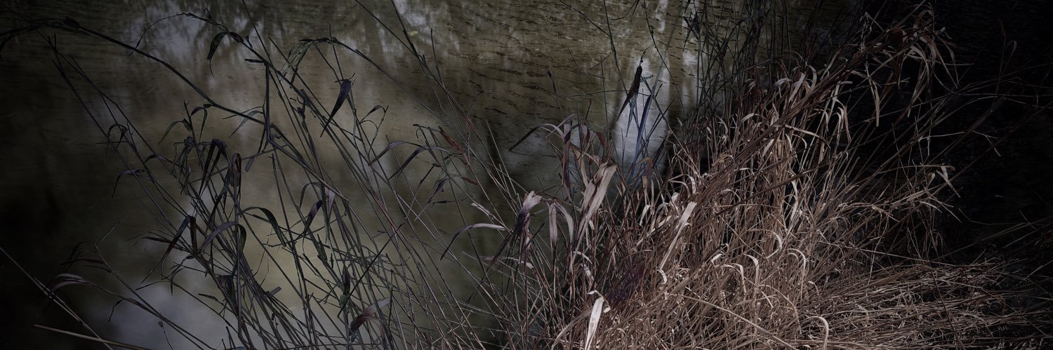 mharperjohnston's profile banner image