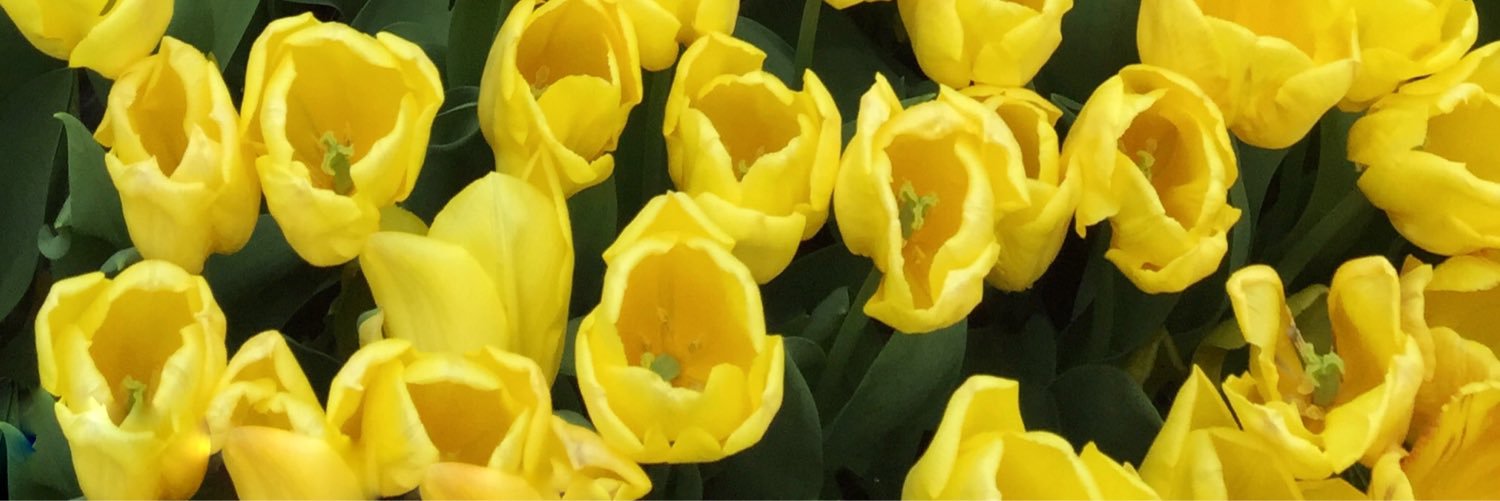 nadd__'s profile banner image