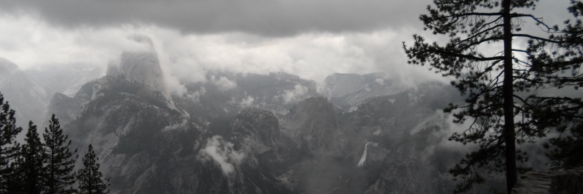 Scott B. Scanlon banner