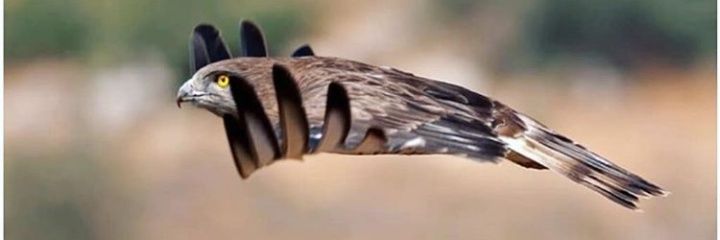 STANLEYMPETE's profile banner image