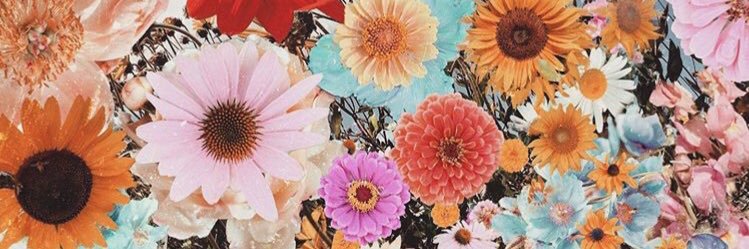 leroyeva_'s profile banner image