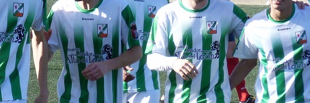 Leones de Castilla banner