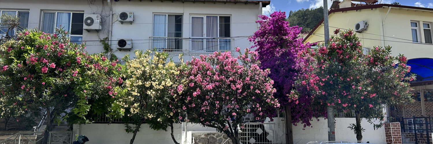 🤜🏿🤛🏼Petra Holstein banner