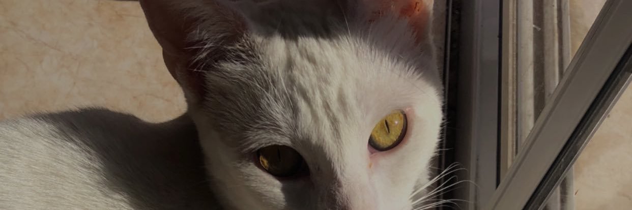giuantonio0's profile banner image