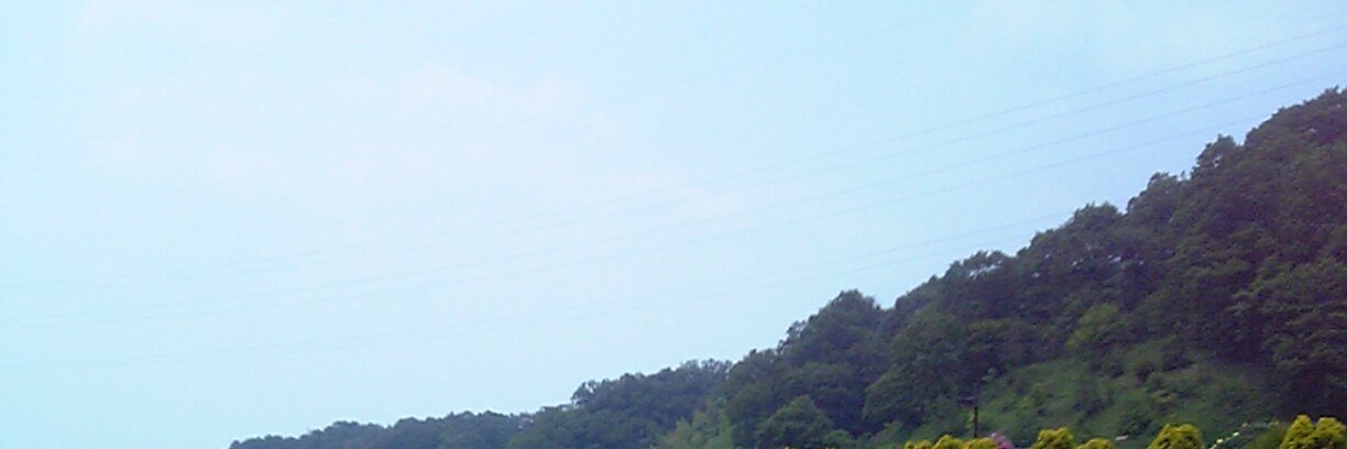 suegohan's profile banner image