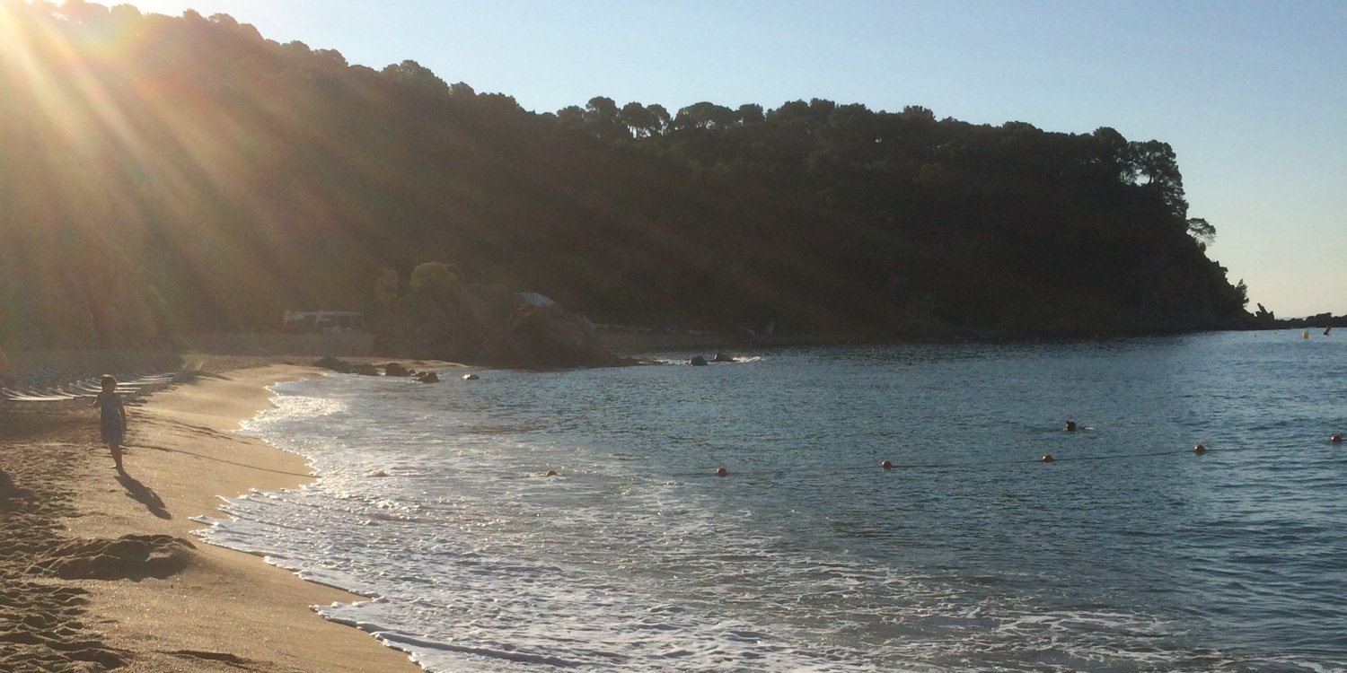 Yegor Zinoviev banner