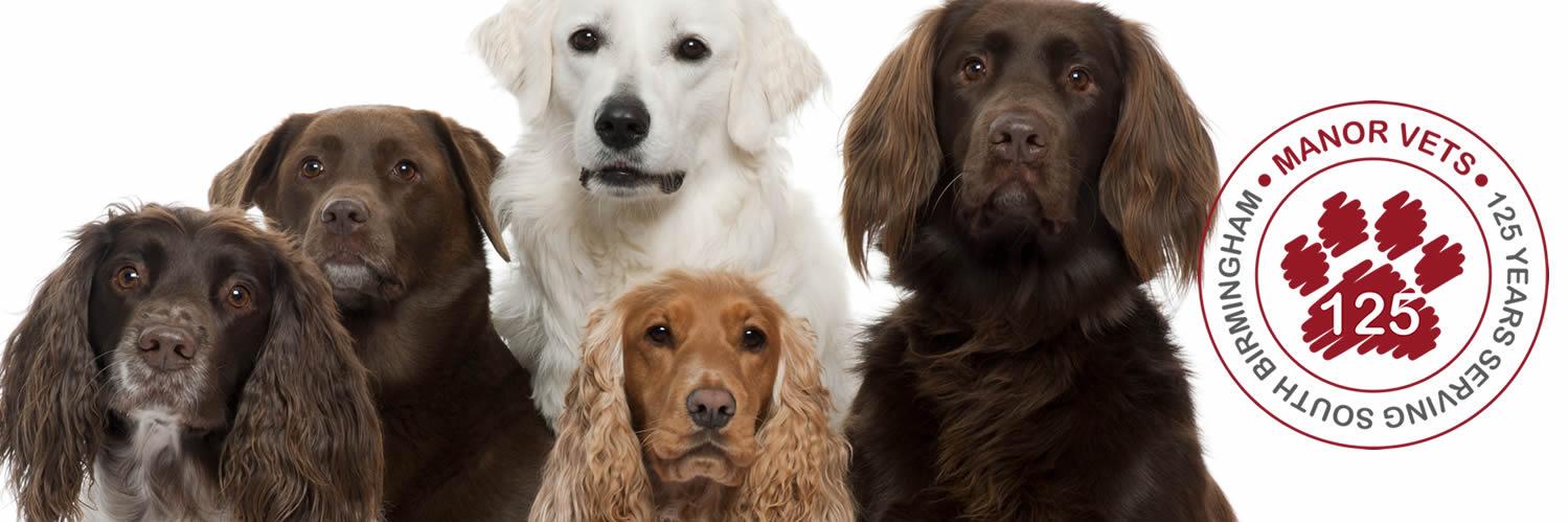 ManorVetsToday's profile banner image