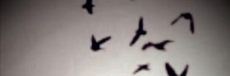 hanooo120's profile banner image