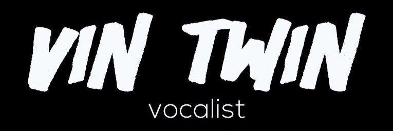 Vin_Twin's profile banner image