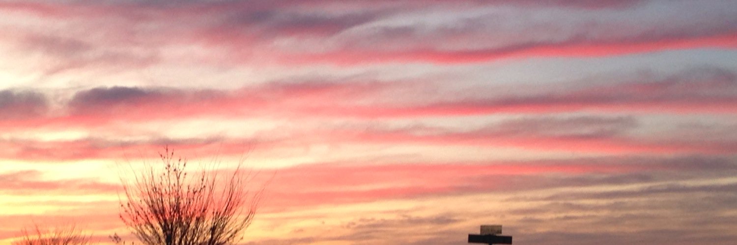 holshmama's profile banner image