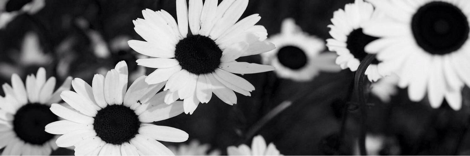 OTRAoctober4th's profile banner image