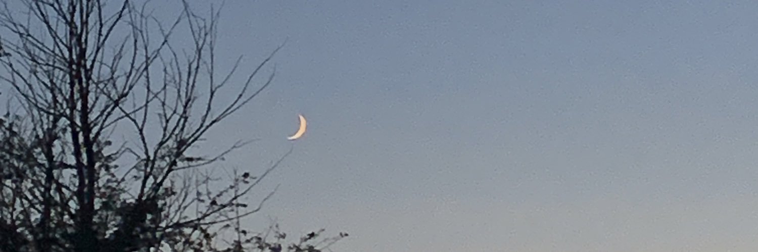 ellieburts's profile banner image
