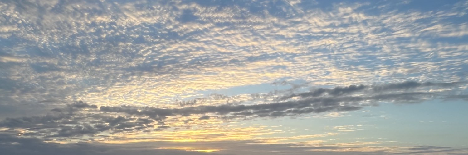 davebudz_23's profile banner image