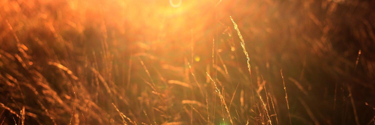 Amber Macintyre banner