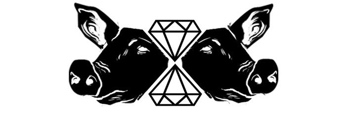 payaserx's profile banner image