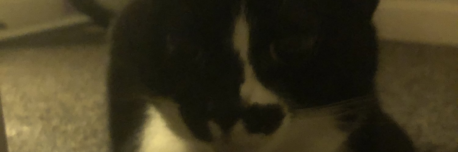 shayjacko's profile banner image