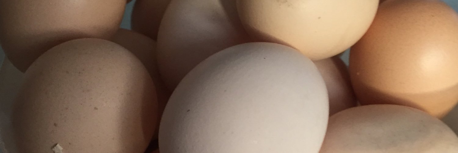 Michael Milch banner