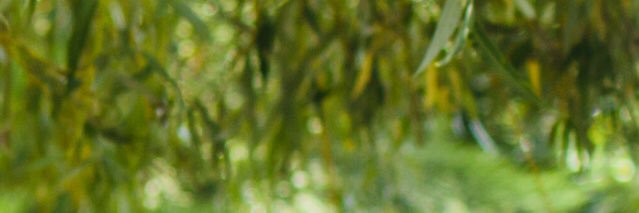 yassin16we's profile banner image