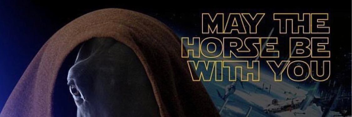 Christine Domegan banner