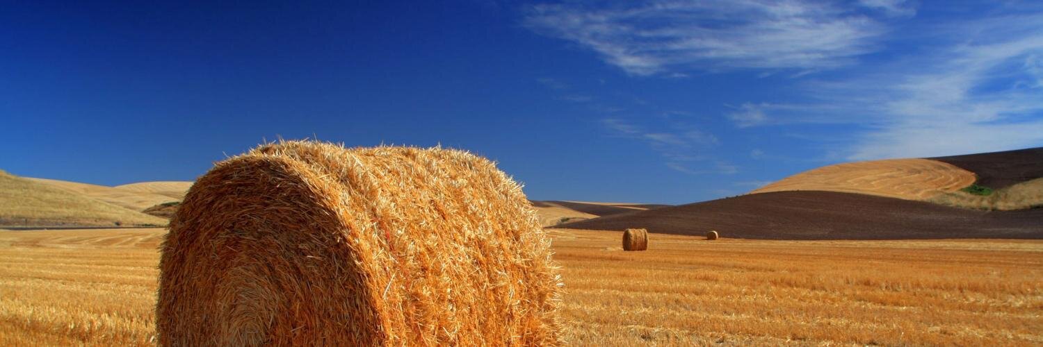 Prutkovofficial's profile banner image